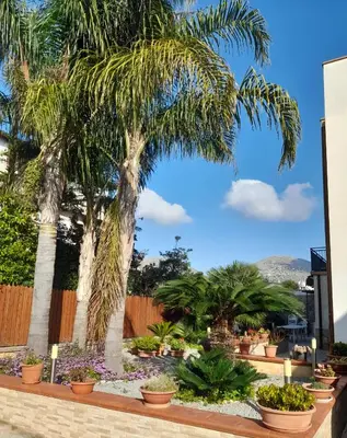 a garden with palm trees and other plants at Oasi Mondello in Mondello