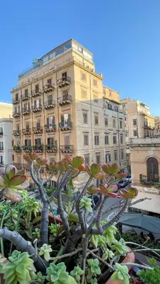 a plant in front of a large building at Villafranca33 - Politeama Centro Palermo in Palermo