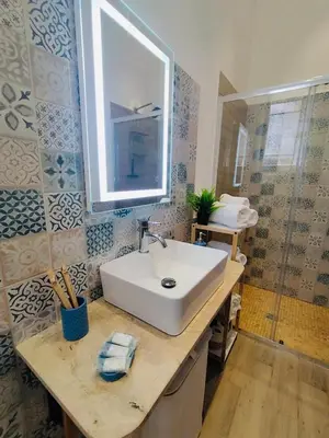 a bathroom with a sink and a mirror and a shower at D'anthoine apartment in Palermo
