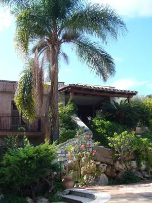 a palm tree in a garden with a house at Giardino degli Ulivi in Palermo