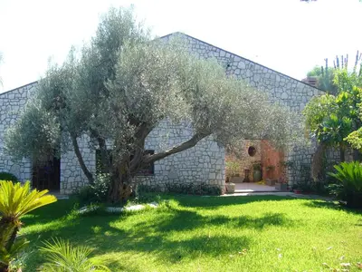 an olive tree in front of a stone building at Giardino degli Ulivi in Palermo