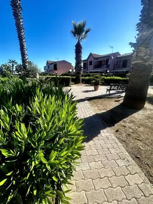 a brick walkway with bushes and a palm tree at Casetta mia Seaside in Buonfornello