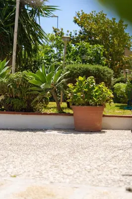 a couple of pots of plants on a sidewalk at Casa Vacanze Villa Rosa Mondello in Palermo