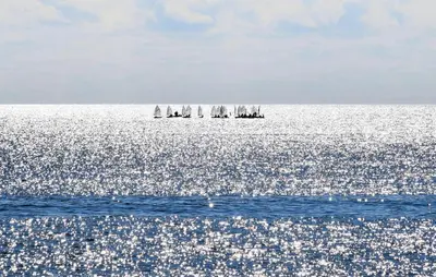 a group of sailboats in the ocean on the water at Beach Front Apartment In Trappeto in Trappeto