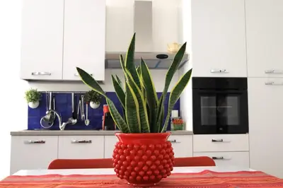 a red vase with a plant on a table at Appartamenti Marì 1 in Palermo