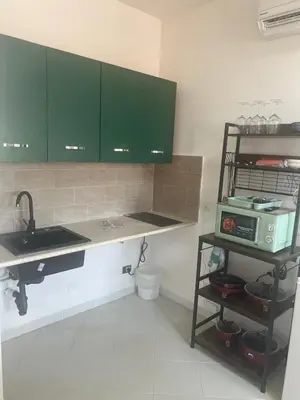 a kitchen with green cabinets and a sink at cielo blu in San Vito lo Capo