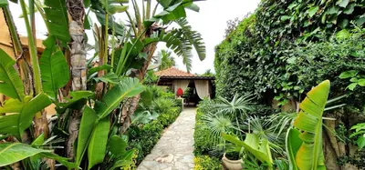 a garden with plants and a house in the background at Villa Dream House Scopello in Scopello