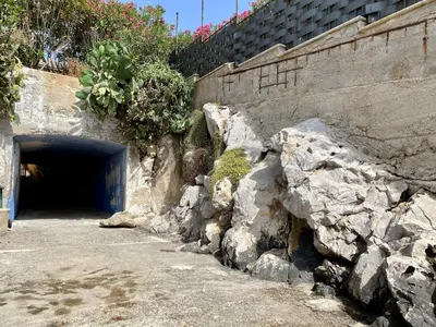 a tunnel in a stone wall with some plants at Charlotte in Palermo