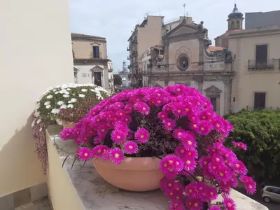a group of flowers in a pot on a balcony at B&B Cala Peppa in Palermo