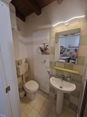 a bathroom with a toilet and a sink and a mirror at Al vicolo holiday home in Palermo