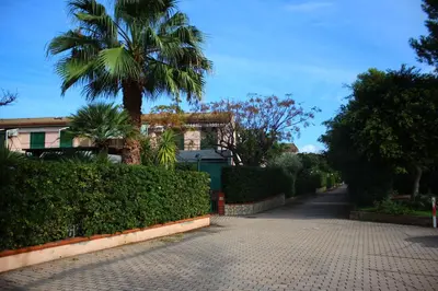 a street with a palm tree and a house at Summer House in Buonfornello