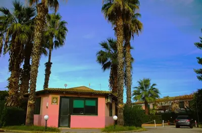 a house with palm trees in a parking lot at Summer House in Buonfornello