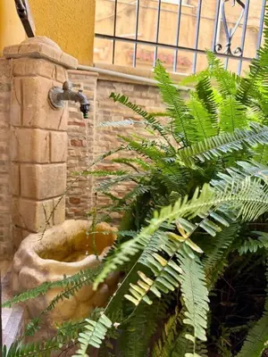 a fern plant next to a stone water fountain at Piccolo Brasile Home in Capaci