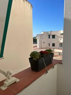 a potted plant on the ledge of a balcony at Blue Sea Apartment in Isola delle Femmine