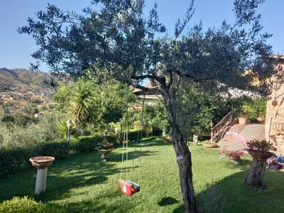 a yard with a tree with a swing at Rifugio panoramico in Montelepre