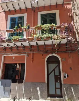 an orange building with potted plants on a balcony at Love nest cathedral ,in the heart of the city in Palermo