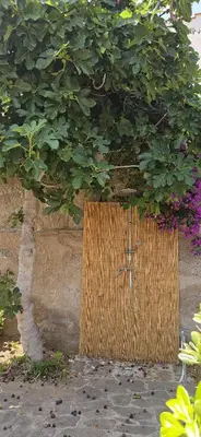a wooden gate with a plant growing on it at Villa del Faro, Capo Zafferano in Santa Flavia
