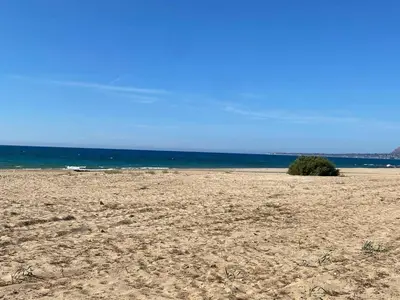 a bush on a sandy beach with the ocean at Casa Bluet on the Sea in Balestrate