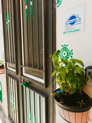a plant in a pot next to a door at A meravigghia Casa vacanze in Bagheria
