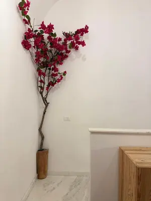 a plant with red flowers in a vase on a wall at La Casetta dell'Architetto in Cinisi