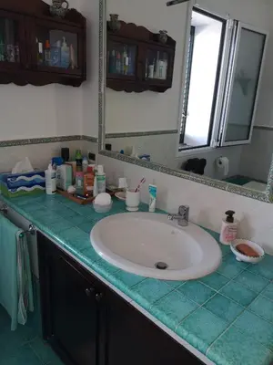 a bathroom counter with a sink and a mirror at Villa Adele in Trappeto