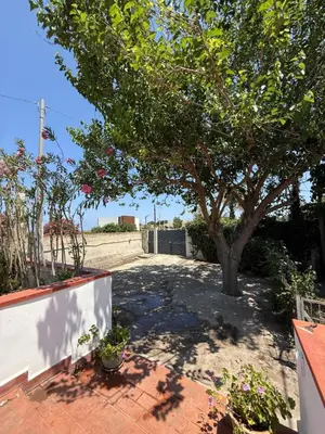 a tree in the middle of a yard with a sidewalk at Magaggiari Beach House in Cinisi