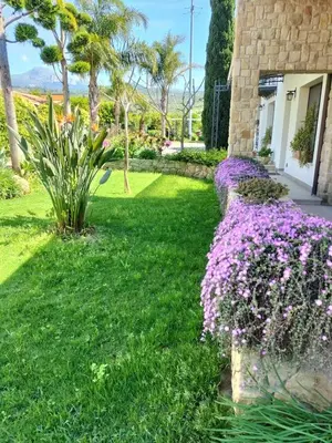 a garden with purple flowers next to a building at Villa Deluxe in Campofelice di Roccella