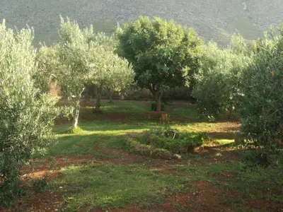 a garden with trees and a bench in the grass at Aquilone in Castelluzzo