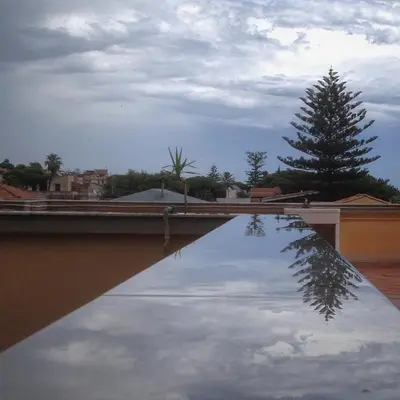 a reflection of a tree in a pool of water at Terrazza 3F Mondello in Palermo