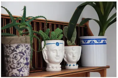 three blue and white vases sitting on a shelf with plants at Alvorada Rooms in Palermo