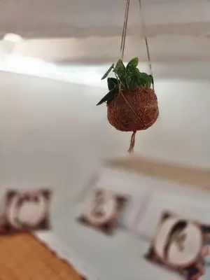 a potted plant hanging from a ceiling at Il Pirtuso in Palermo