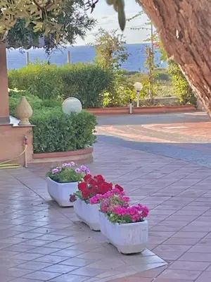 two white containers filled with flowers on a sidewalk at Villa Fiory in Terrasini
