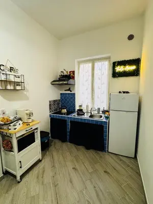 a small kitchen with a refrigerator and a sink at That's Amuri in Palermo