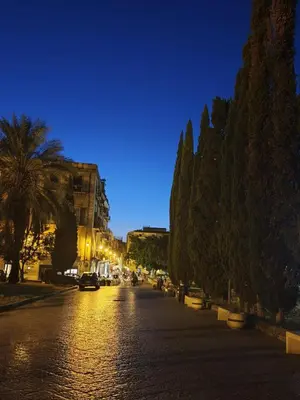 a cobblestone street at night with trees and cars at Casuzza del genio in Palermo