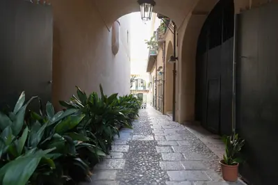 an alley with potted plants in a building at Dimora Artale Suite in Palermo