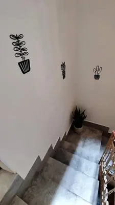 a white wall with three plants on the wall at Disìu Apartment con Jacuzzi in centro a Castellammare del Golfo in Scopello