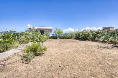 a garden with plants and a house in the background at Villa Mare Blu in Ficarazzi
