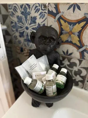 a statue of a monkey sitting in a bowl with medicines at Le Lunette Holiday House in Palermo