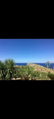 a view of the ocean from a beach with palm trees at Vista mare 360 in Scopello
