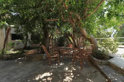a table and chairs sitting under a tree at Villa Barbera - Terrace overlooking the sea in Bagheria