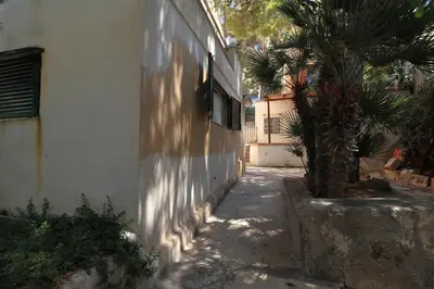 a house with a palm tree next to a building at Villa Barbera - Terrace overlooking the sea in Bagheria