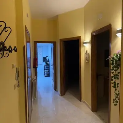 Lucy home