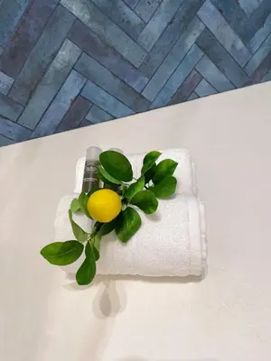 a plant on a table with a bottle on it at La Casa dei Limoni - Your Sicilian Getaway near the sea in Terrasini in Terrasini