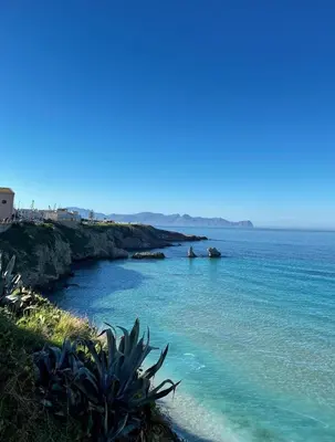 a beach with blue water and plants on the shore at Casa Mulinazzo in Cinisi
