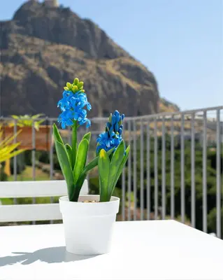 a white pot with blue flowers sitting on a table at Airoldi Home in Palermo