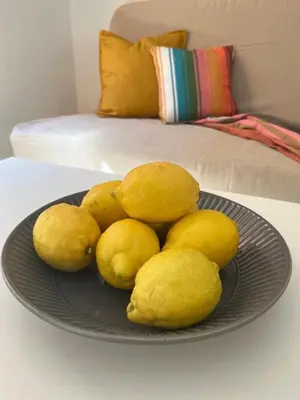 a plate of lemons on top of a table at Casa Sole e Limone in Castellammare del Golfo