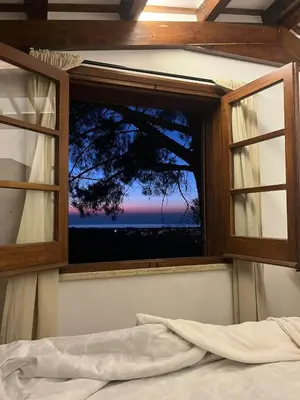 a bedroom with a window with a view of a tree at Poggio di mare in Castelluzzo
