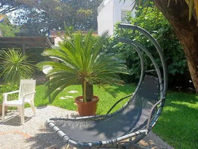a metal bench in a yard with a plant at La terrazza sul mare in Palermo