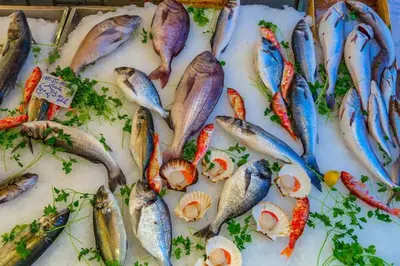 a bunch of fish on display in a market at La casettina di Dante in Palermo