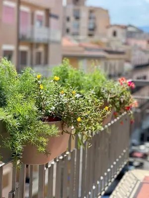 a row of potted plants on a fence at Guardian Dream Suite House nel cuore di Palermo in Palermo